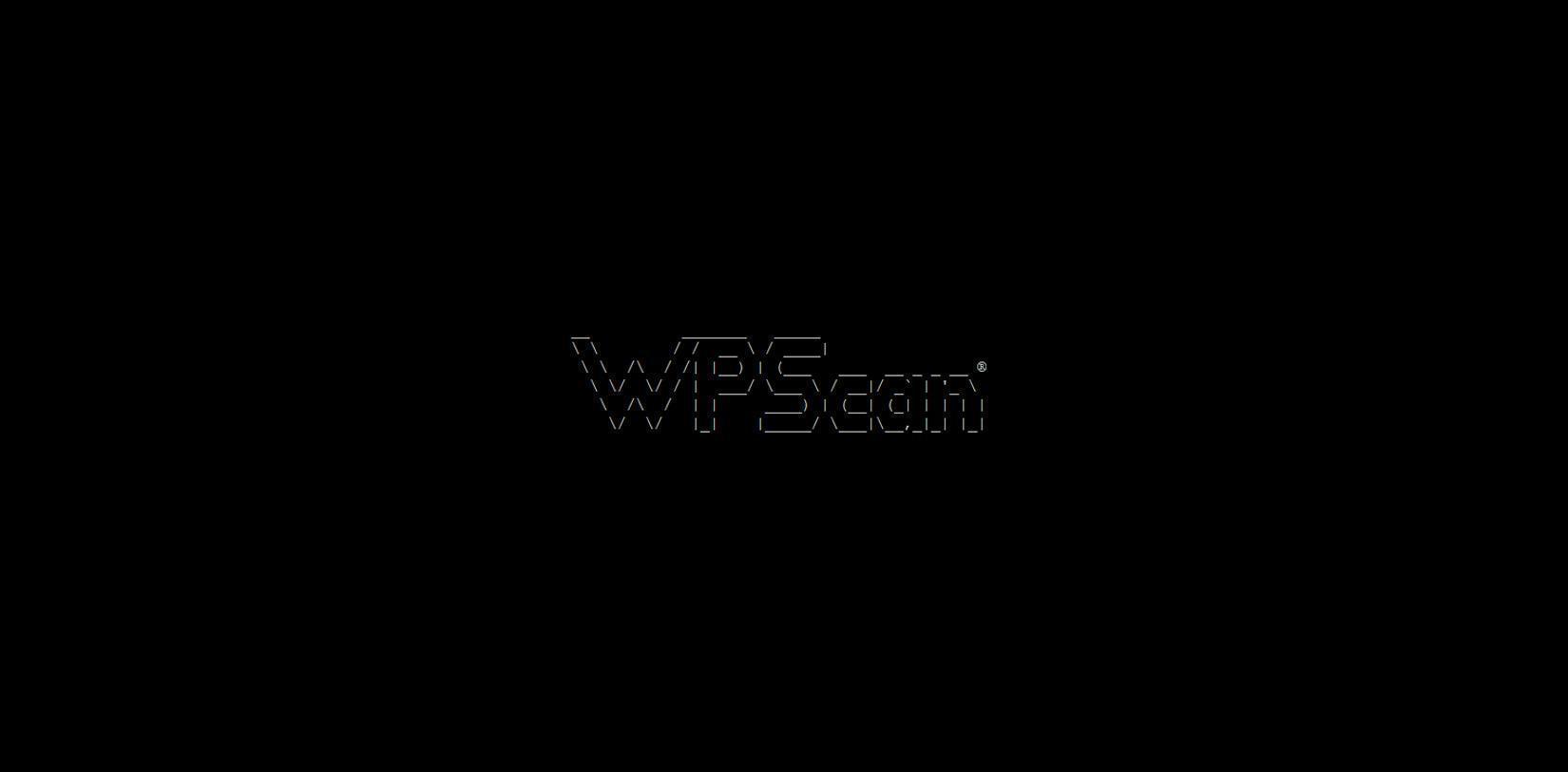 WordPress Security Check mit WPScan