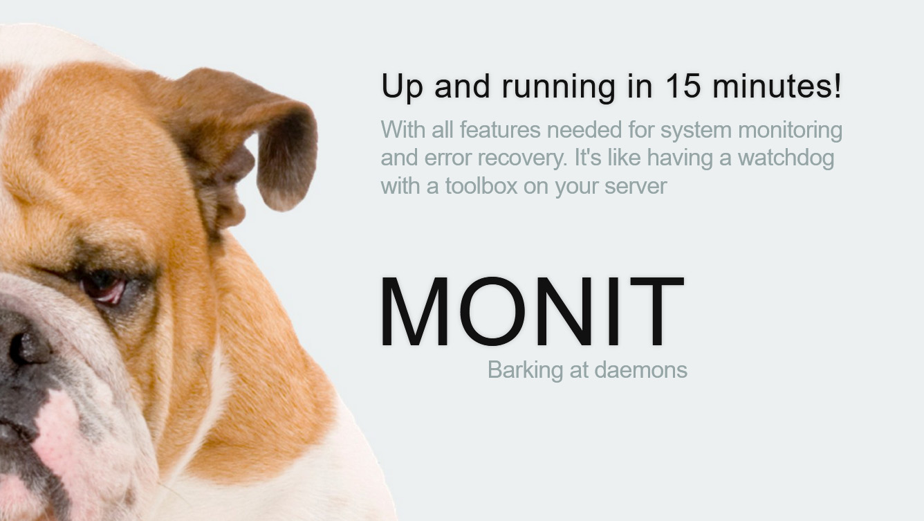Bild Monit - Unix Monitoring und Service Management Tool