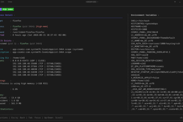 witr-terminal-gui-process-details