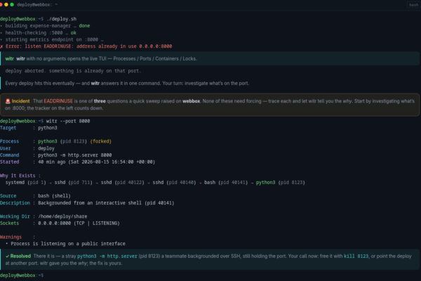 witr-terminal-playground