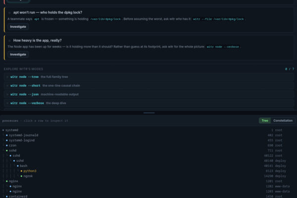 witr-terminal-playground-gui